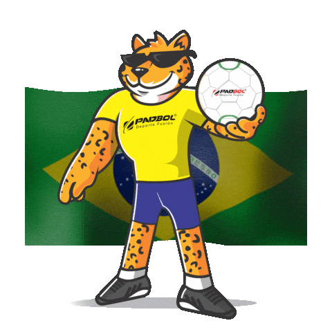 PadbolBrasil giphyupload padbol chivi padbolbrasil Sticker