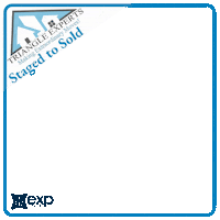 Trex1 Sticker by Triangle Experts