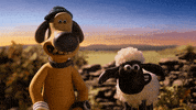 Shaun The Sheep Agree GIF by Aardman Animations