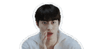Sticker Guess Sticker