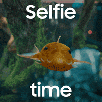 Fun Love GIF by samsung_de