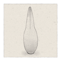 Art Withering GIF by PMS project