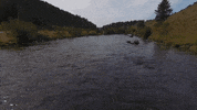 idaho GIF