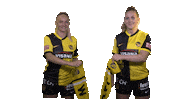 Jana Stadion Sticker by BSC Young Boys