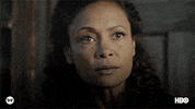 season 2 GIF by Westworld HBO