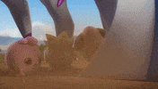 Pokemon Tcg GIF by Pokémon