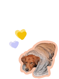 Burrito Hearts Sticker