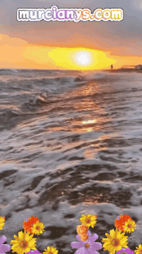 Un Dia Gracias GIF by Murcianys LLC