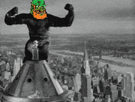 Irishgroyper groyper kong GIF