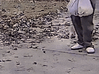 Hmj GIF by Jack Harlow