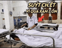 Xam GIF