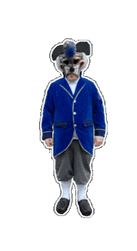 Fasnet Guggenmusik Sticker by Zieefägge