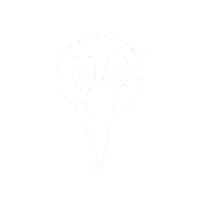 Earnthefern Sticker by The NZ Team