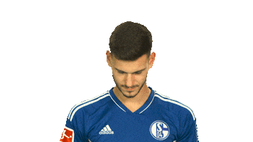 Schalke S04 Sticker by Bundesliga