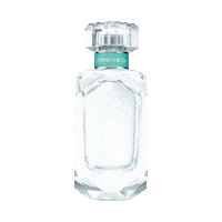 sparkle love Sticker by Tiffany & Co.