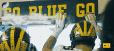 Go Blue Michigan Football GIF by Michigan Athletics