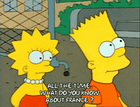 Season 1 GIF by The Simpsons