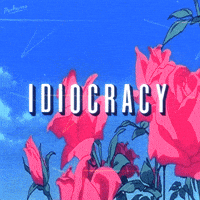 Good Morning Flowers GIF by PEEKASSO