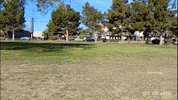 Sports Car Cars GIF by Off The Jacks