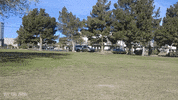 offthejacks car chevrolet chevy cruising GIF