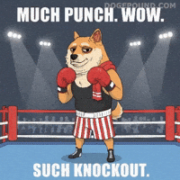 Fight Wow GIF by Doge Pound