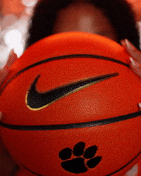 Holland Harris GIF by Clemson Tigers