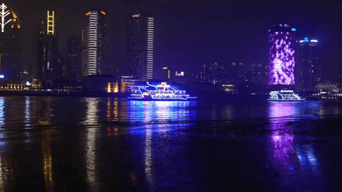 shang hai GIF