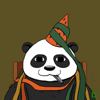Panda Bear Party GIF by gifnews