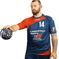 Handball Sticker by Fahrschule Ennulat