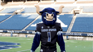 Big Blue No GIF by Utah State University