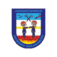 Fire Firefighter Sticker by Feuerwehr Rerik
