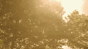 braid GIF by Topshelf Records