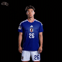 Fifa World Cup Japan GIF by Respective