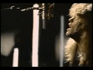 def leppard GIF