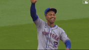 Happy Ny Mets GIF by New York Mets