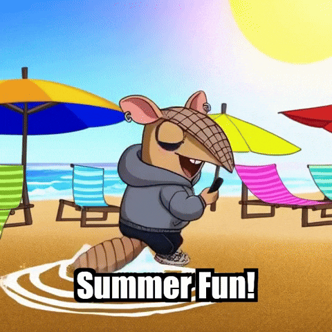 Summer Fun GIF by Chillo Dillo