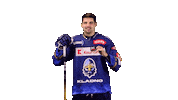 Hokej Sticker by Rytíři Kladno
