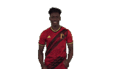 Red Devils Football Sticker by Royal Belgian FA