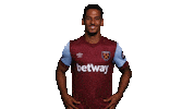 Premier League Sport Sticker by West Ham United