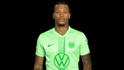 Happy Goal GIF by VfL Wolfsburg