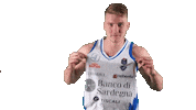 Basketball Sticker by Dinamo Sassari
