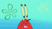 season 9 lost in bikini bottom GIF by SpongeBob SquarePants