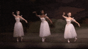 Enbsylphide GIF by English National Ballet