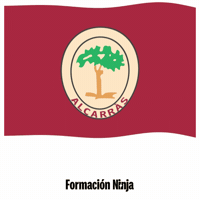 Flag Spain GIF by Formación Ninja