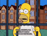 homer simpson episode 3 GIF