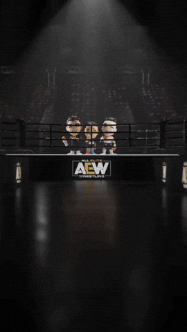 Wwe Wrestling GIF by Youtooz
