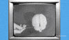Animation Brain GIF by The Explainer Studio