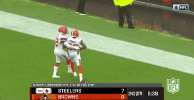 cleveland browns football GIF by NFL