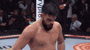 Sport Mma GIF by UFC