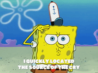 season 5 blackened sponge GIF by SpongeBob SquarePants